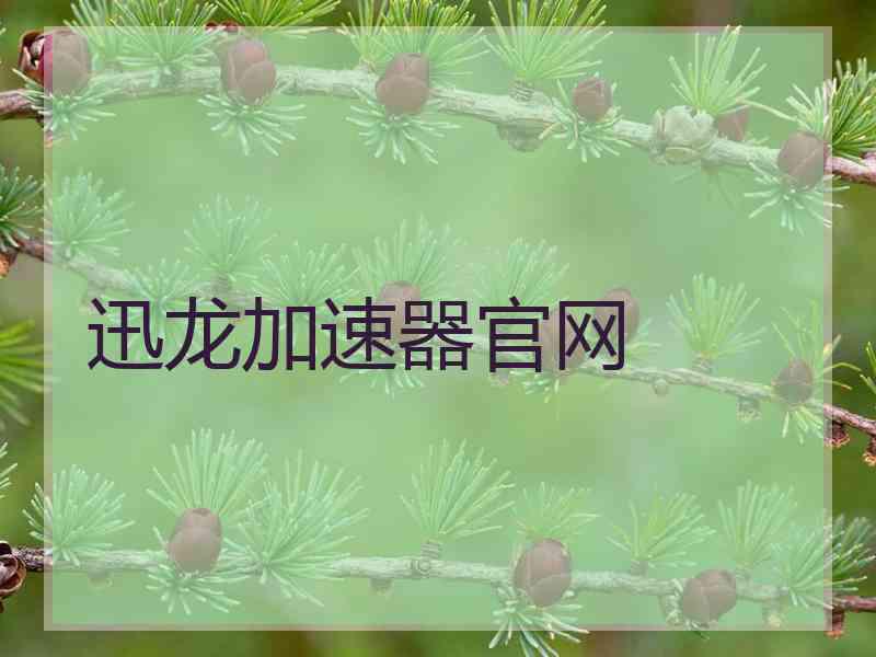 迅龙加速器官网