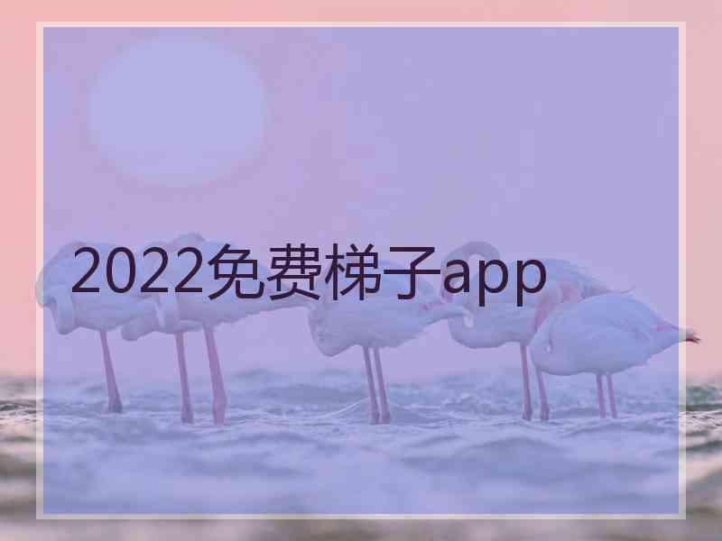 2022免费梯子app
