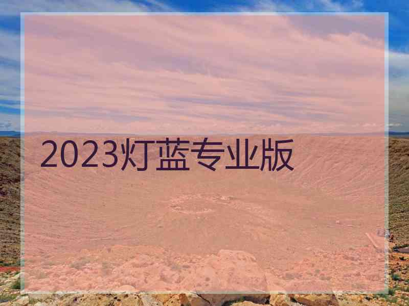 2023灯蓝专业版