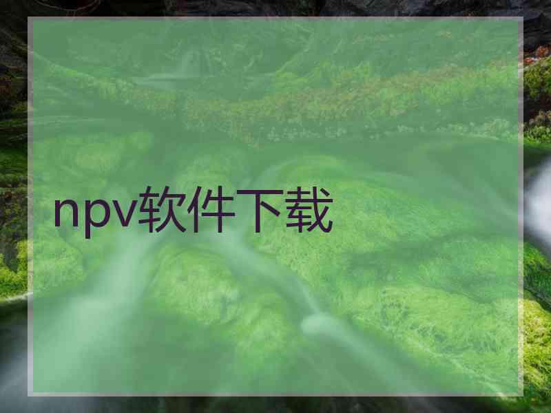 npv软件下载