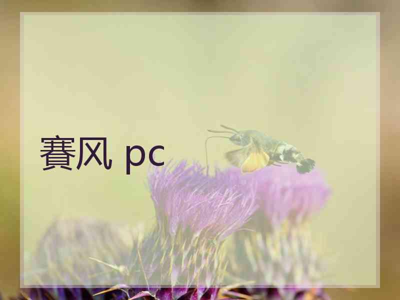 賽风 pc