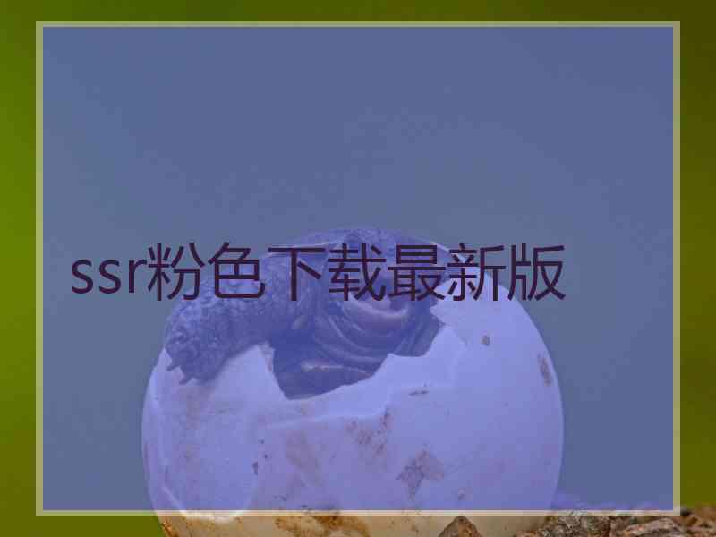 ssr粉色下载最新版