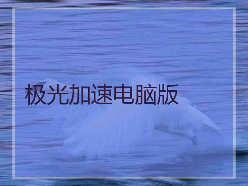 极光加速电脑版