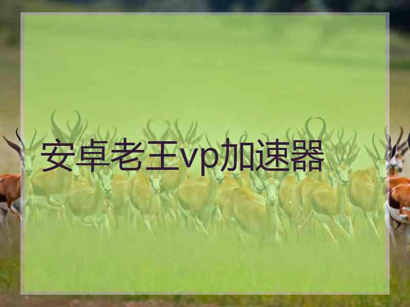安卓老王vp加速器