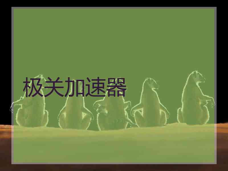 极关加速器