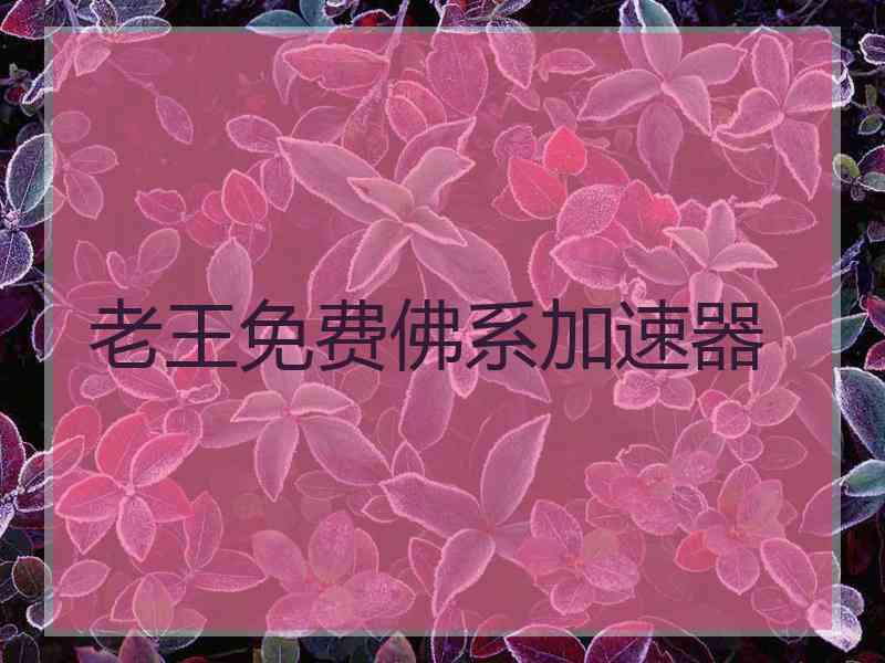 老王免费佛系加速器