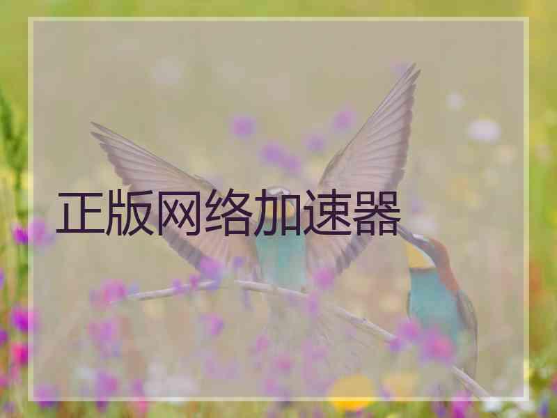 正版网络加速器