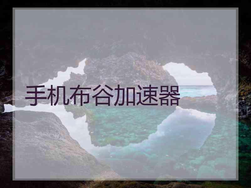手机布谷加速器