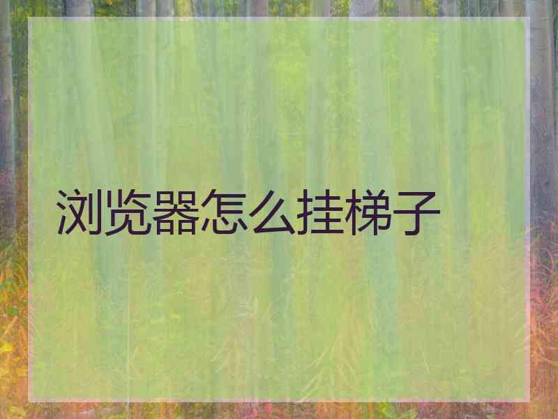 浏览器怎么挂梯子