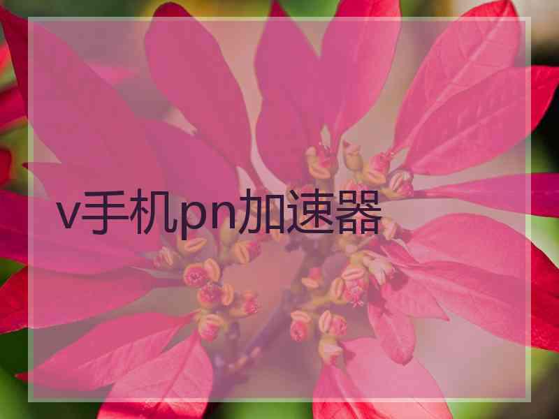 v手机pn加速器