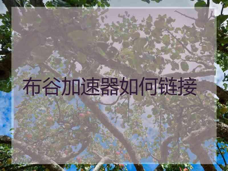 布谷加速器如何链接