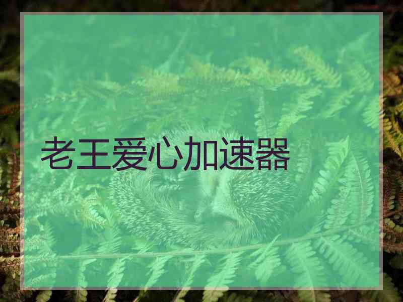 老王爱心加速器