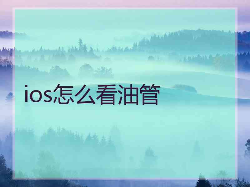 ios怎么看油管