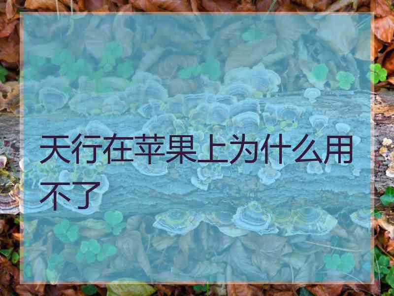 天行在苹果上为什么用不了