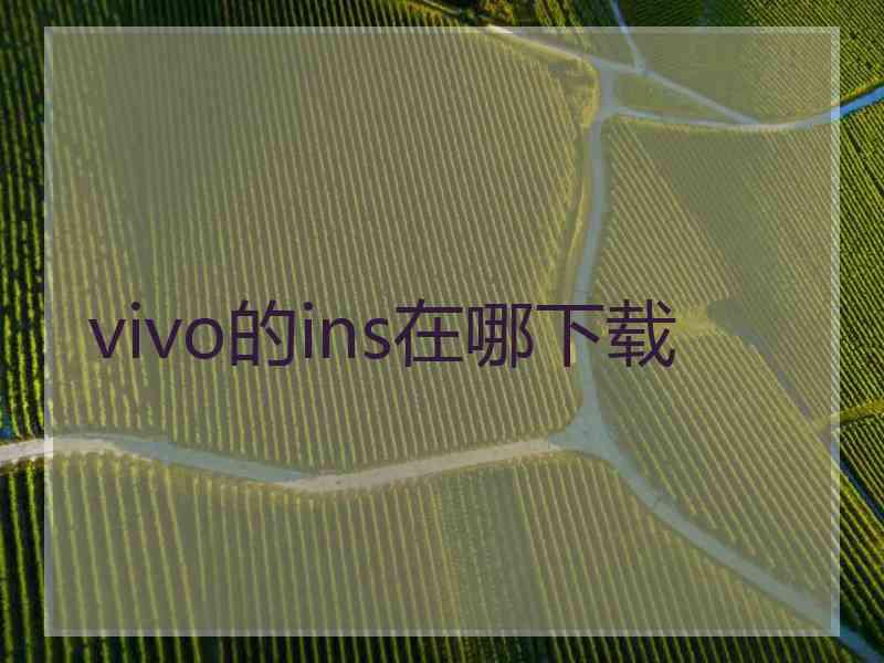 vivo的ins在哪下载
