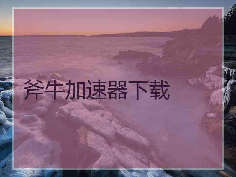 斧牛加速器下载