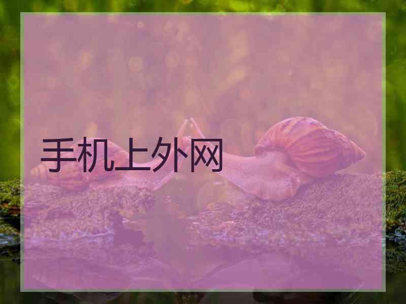 手机上外网
