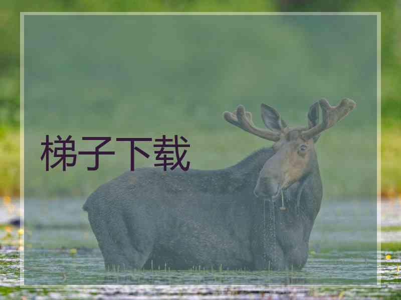 梯子下载
