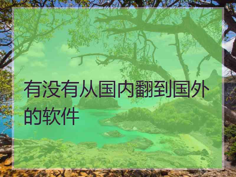 有没有从国内翻到国外的软件
