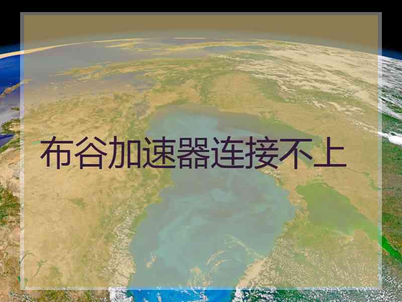 布谷加速器连接不上