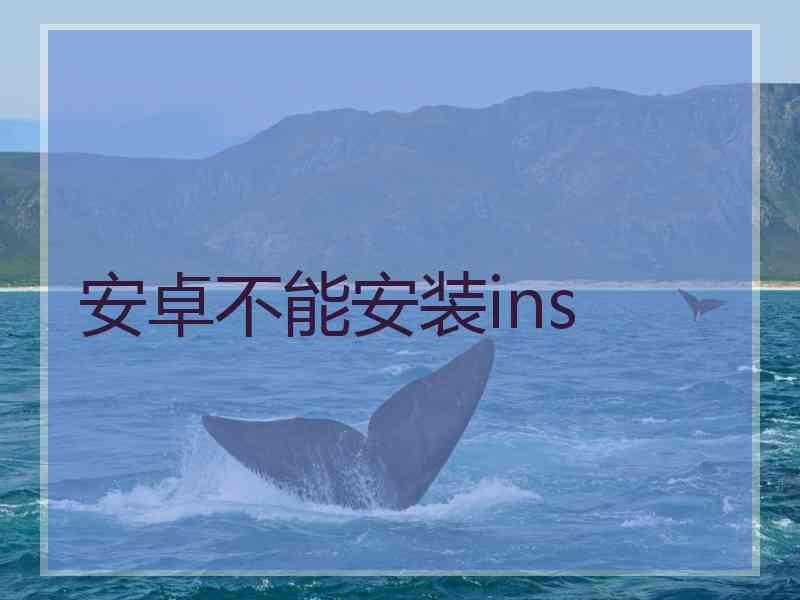 安卓不能安装ins