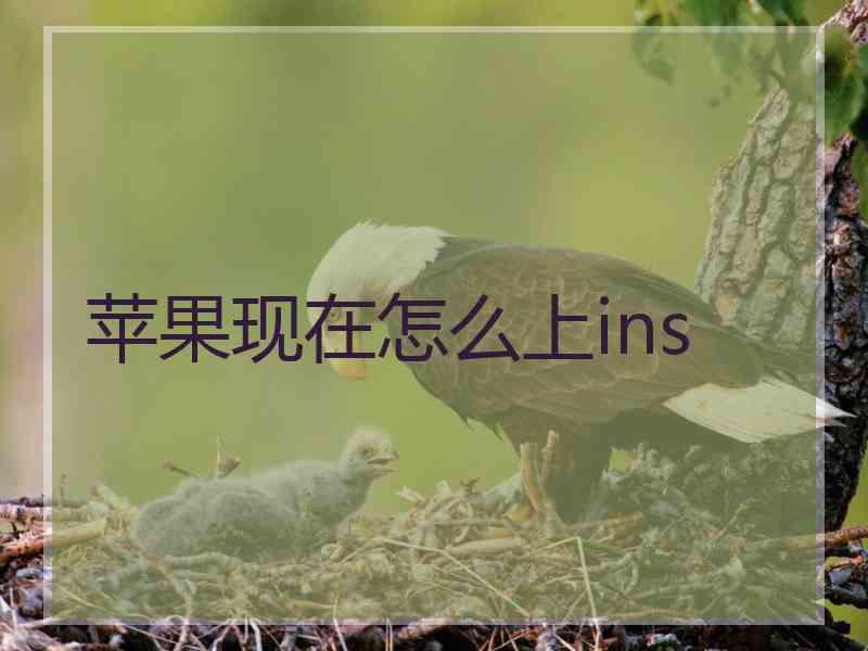 苹果现在怎么上ins