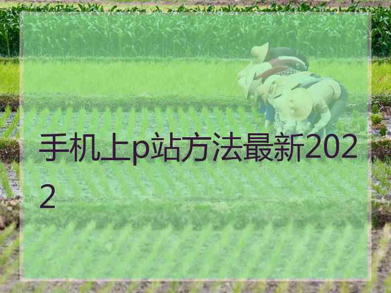手机上p站方法最新2022