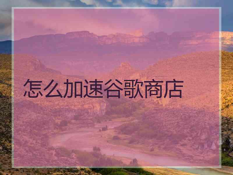 怎么加速谷歌商店