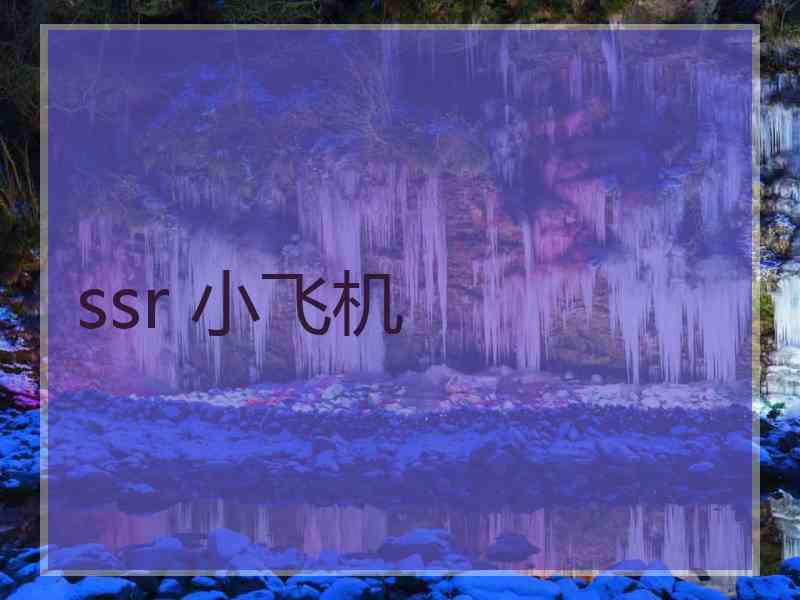 ssr 小飞机