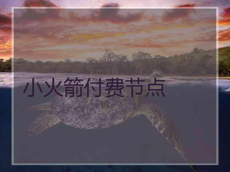 小火箭付费节点