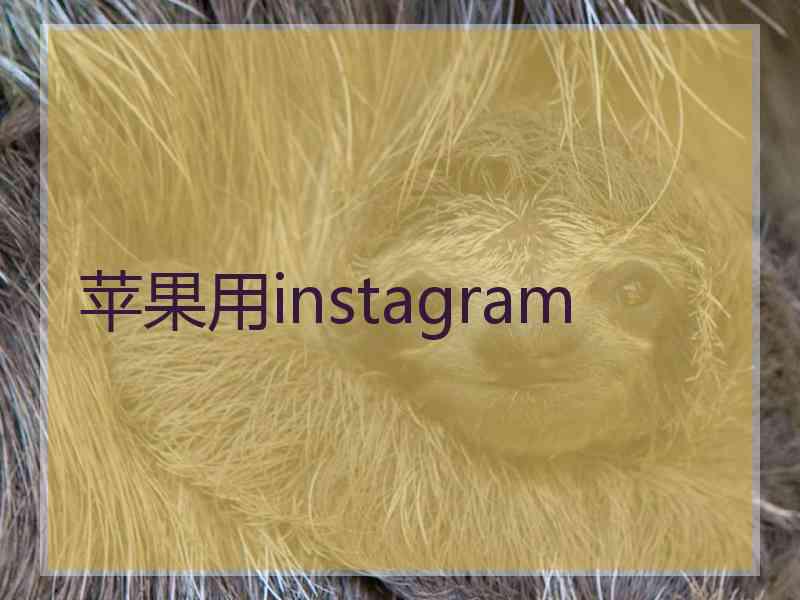 苹果用instagram
