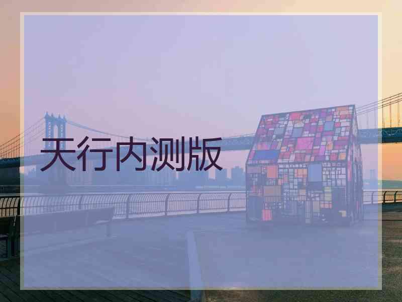 天行内测版