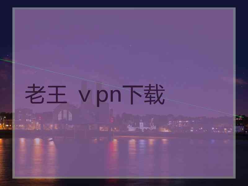 老王 ⅴpn下载
