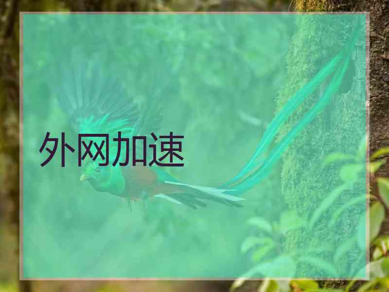 外网加速