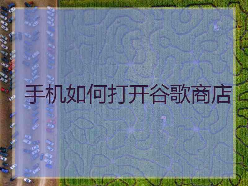 手机如何打开谷歌商店