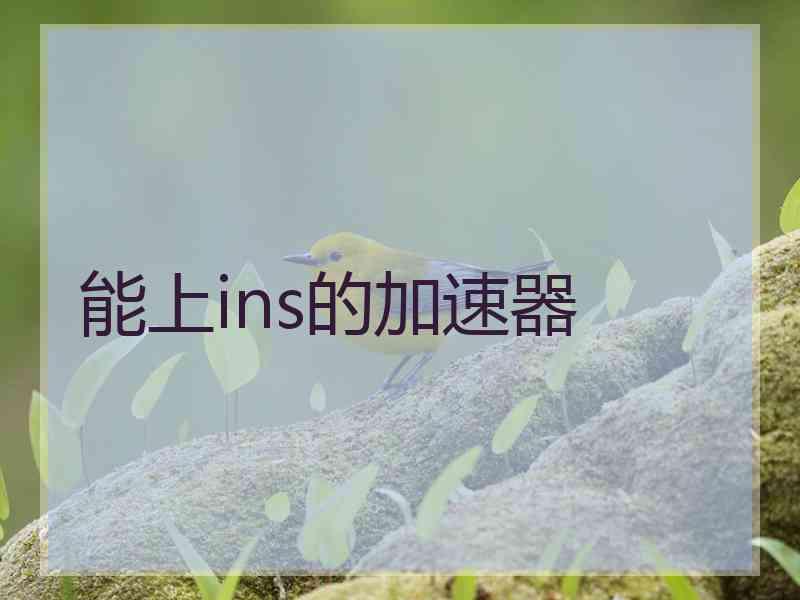 能上ins的加速器