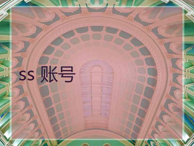 ss 账号