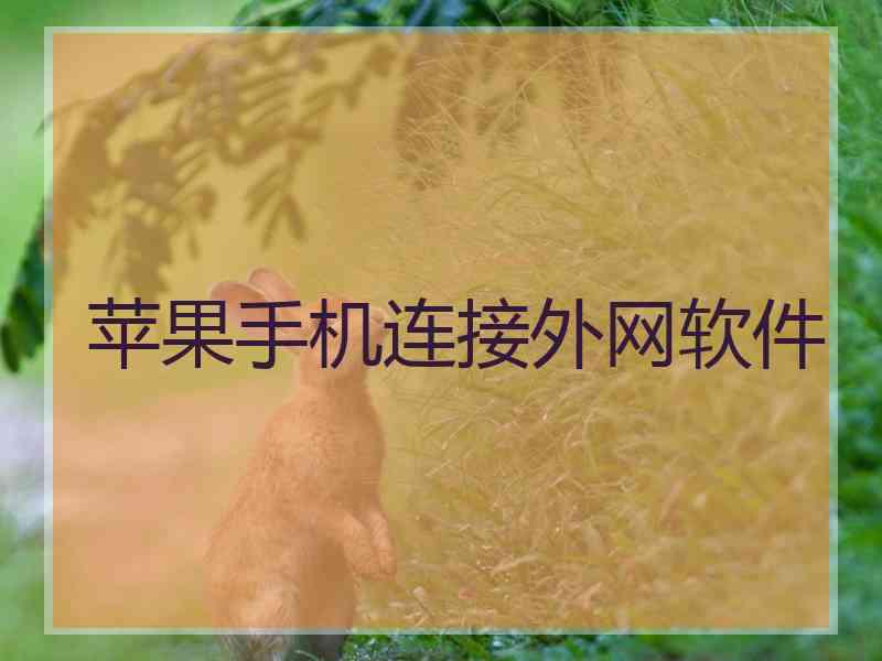 苹果手机连接外网软件