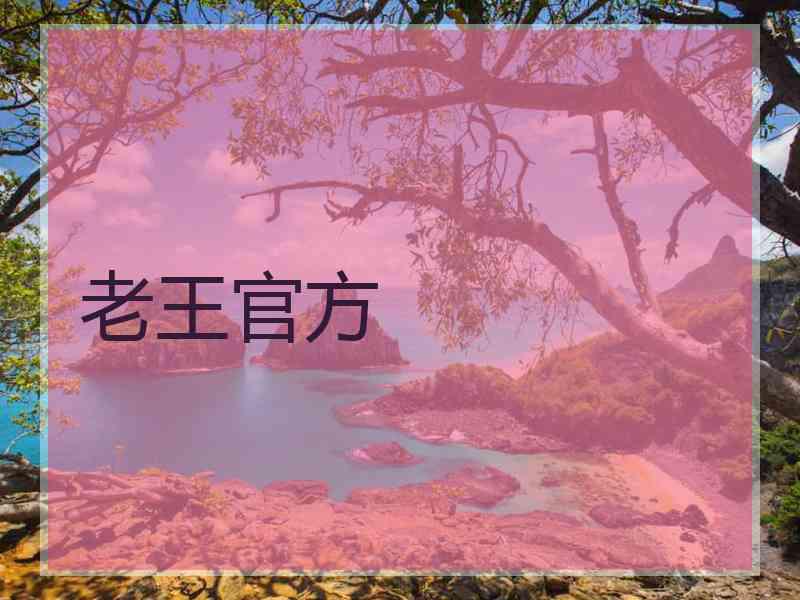 老王官方