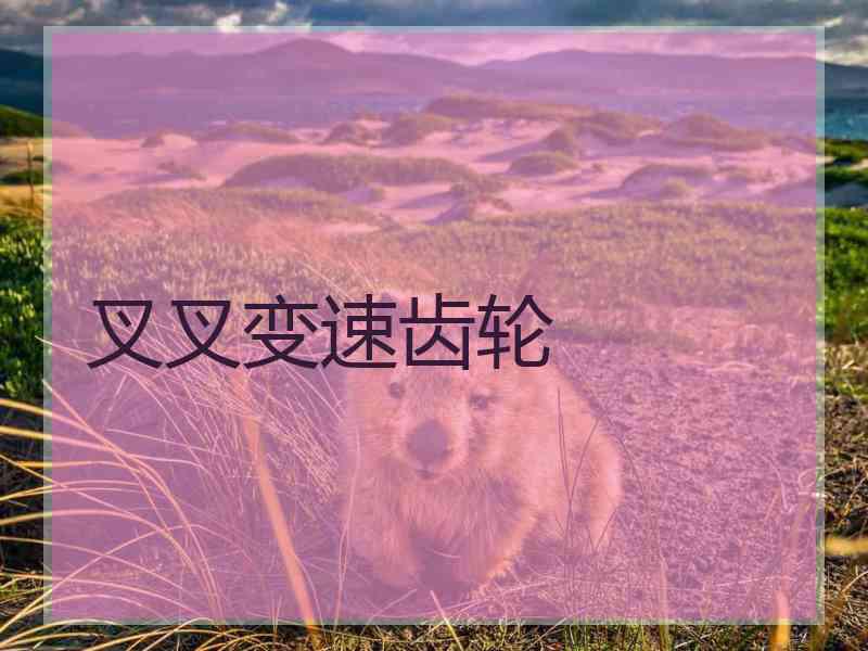 叉叉变速齿轮
