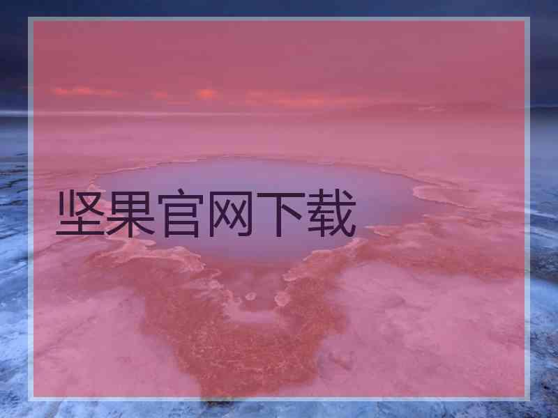 坚果官网下载