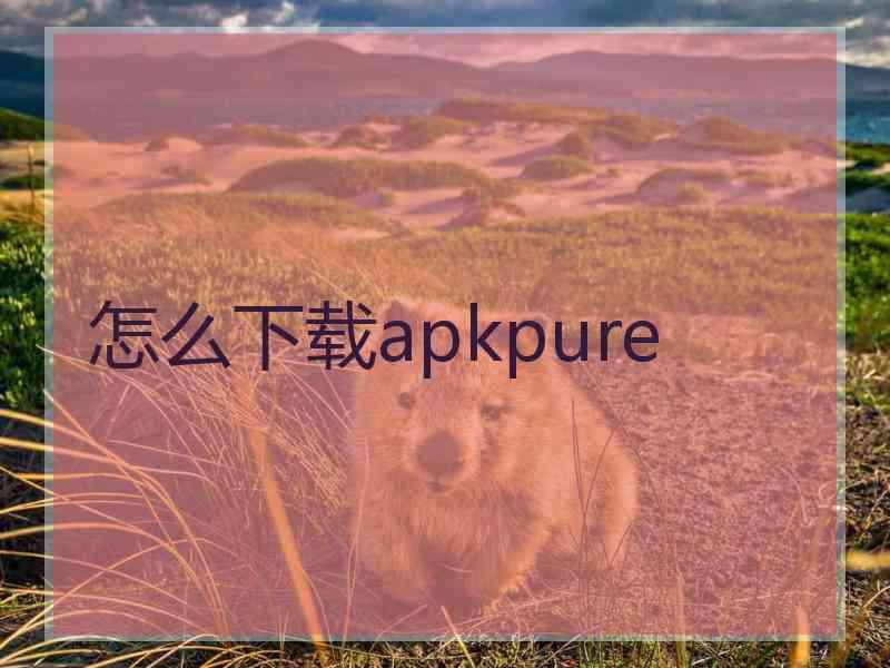 怎么下载apkpure