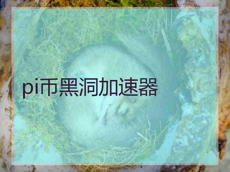 pi币黑洞加速器