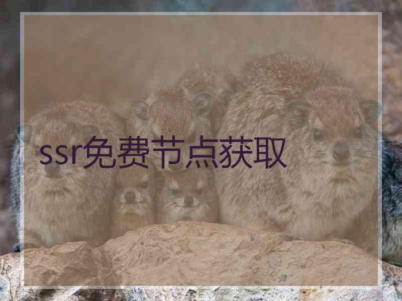 ssr免费节点获取