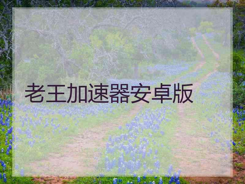 老王加速器安卓版