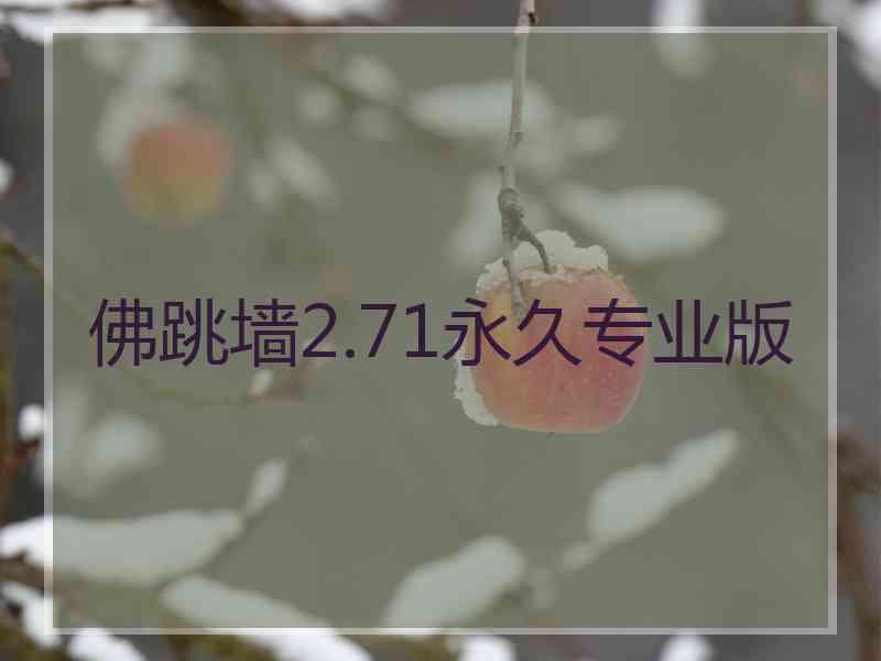 佛跳墙2.71永久专业版