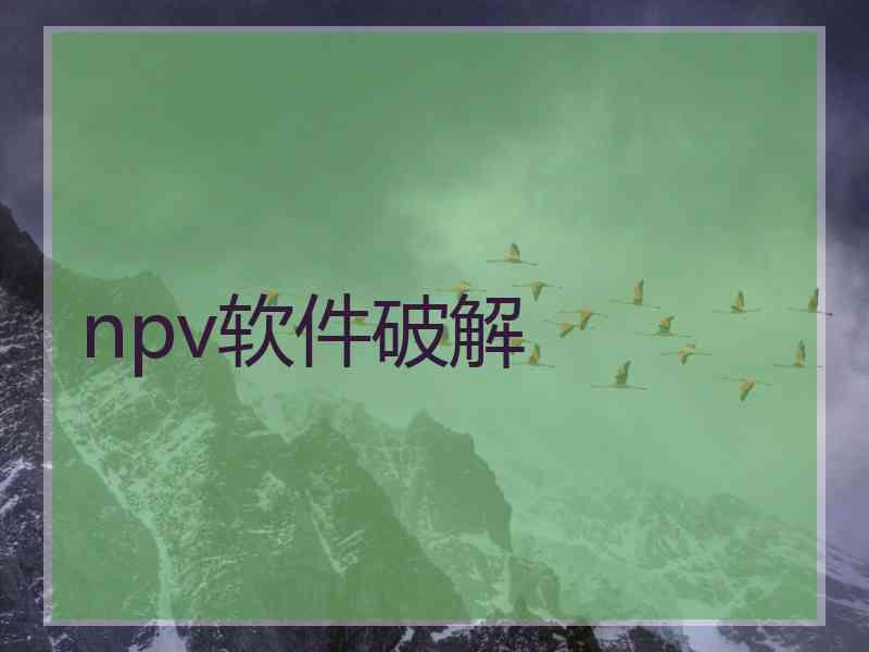 npv软件破解