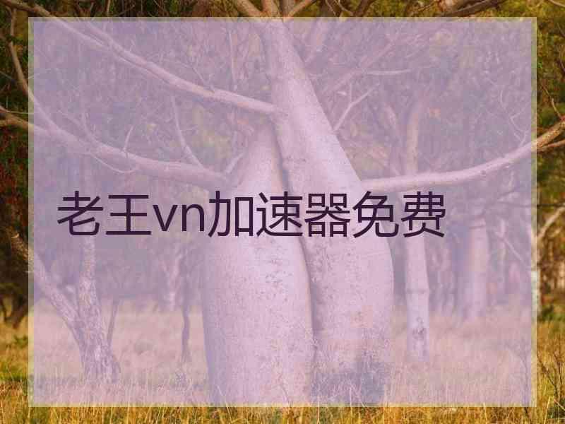 老王vn加速器免费