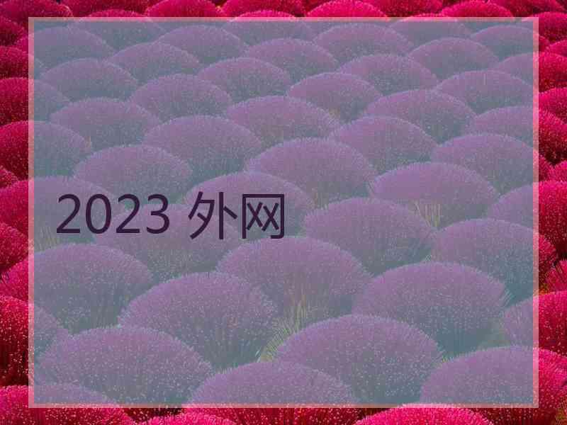 2023 外网