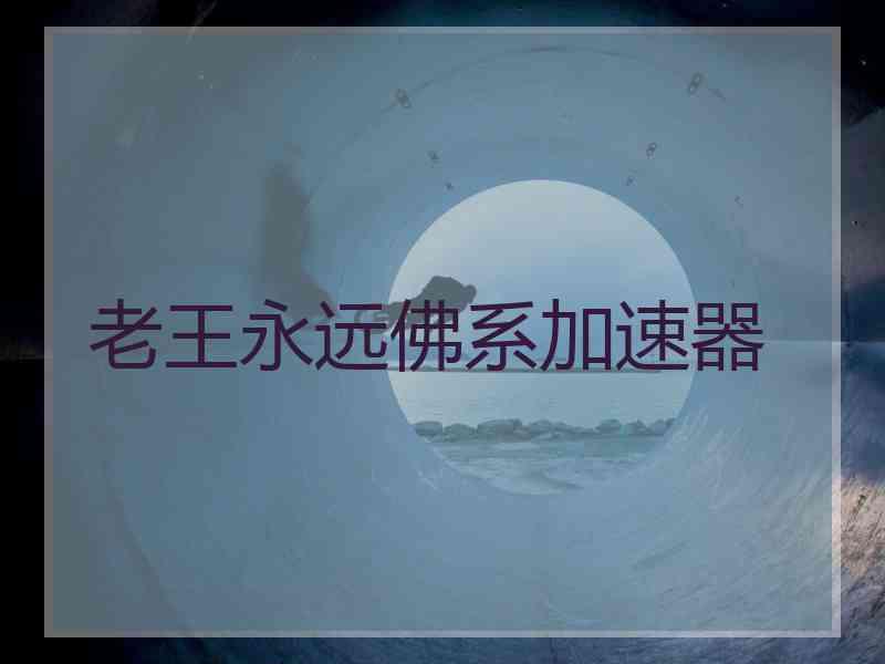 老王永远佛系加速器